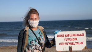 Deniz kaplumbağaları Mersin sahillerine yumurta bırakmaya başladı