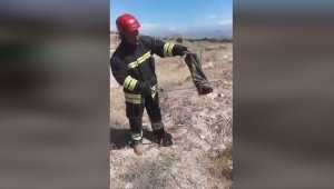 Ereğlide Evden çıkan yılan korkuya neden oldu