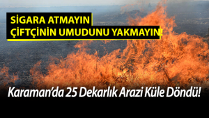 Karaman'da bir çiftçinin daha umudu kül oldu!