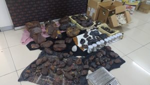 Mersin'de 145 kilo balina kusmuğu değeri 11 milyon TL