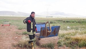 Rögardan çıkarılan yılanlar doğaya bırakıldı