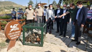 Sille Barajı göçmen kuşlara ev sahipliği yapıyor