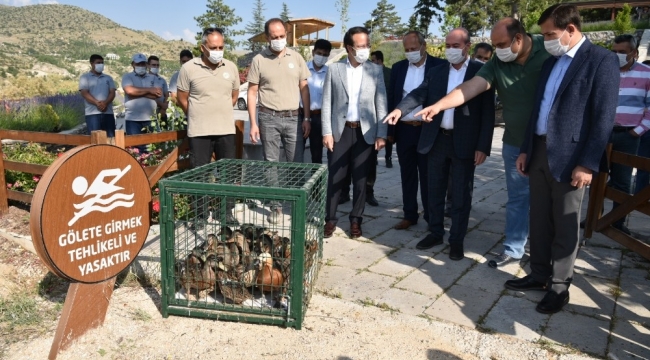 Sille Barajı göçmen kuşlara ev sahipliği yapıyor