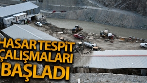 Artvin'deki sel ve heyelanın ardından hasar tespit çalışmasına başlandı
