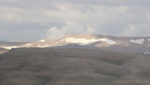 Bolkar dağındaki kar, görenlerin içini serinletti