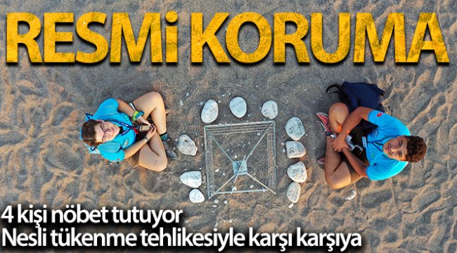 Caretta carettalara resmi koruma