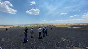 Ekin yangınında mahsuller zarar gördü