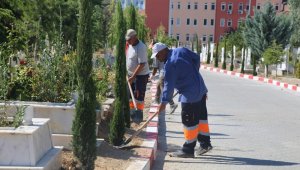 Karaman Belediyesi, şehir mezarlığına 500 adet kara selvi ağacı dikti