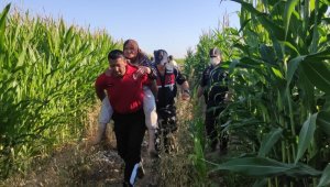 Kayıp Heybet Koyuncu mısır tarlasında 'Kahve' buldu