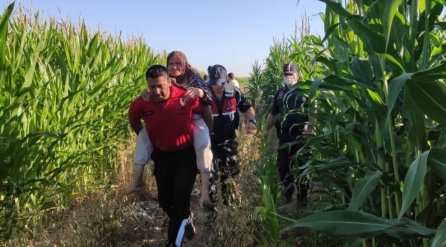 Kayıp Heybet Koyuncu mısır tarlasında 'Kahve' buldu