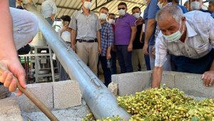 Mut'ta Antep Fıstığı hasadına başlandı