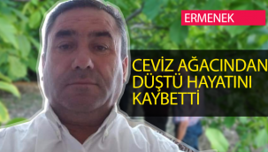 Cevizleri çırpmak için çıktığı ağaçtan düşüp hayatını kaybetti