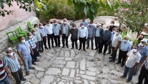 Karaman'da Zeytincilik Gelişiyor ve Değerleniyor