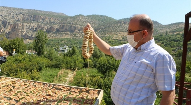 Mut'ta incir altın yılını yaşıyor