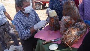 Mut'ta Peynirler mağaralardan çıkarılmaya başlandı