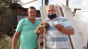 Kafası sıkışan yavru köpeği sanayi esnafı kurtardı