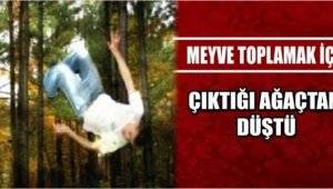 Karaman'da ağaçtan düşen yaşlı adam hayatını kaybetti