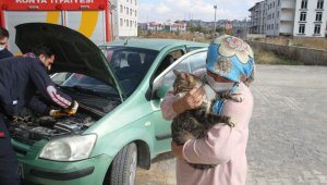 Otomobilden kedi kurtarma operasyonu