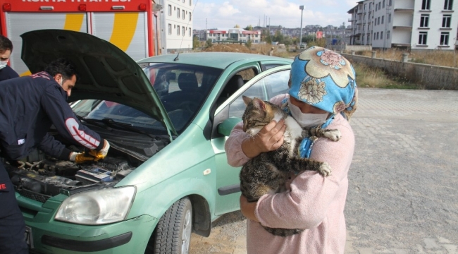 Otomobilden kedi kurtarma operasyonu