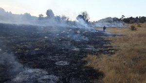 Tutuşan kuru otlar ormanlık alana sıçramadan söndürüldü