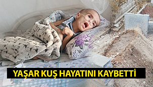 4 Yaşındaki Yaşar Bebek Yaşamını Kaybetti