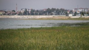 Beyşehir Gölü kıyılarında sular çekildi