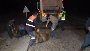 Ereğli'de Otomobil koyun sürüsüne daldı, 30 koyun telef oldu