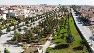 Karaman Belediyesinden çevre düzenlemesi
