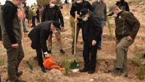 Karaman'da ağaçlandırma gününde 10 bin fidan toprakla buluştu