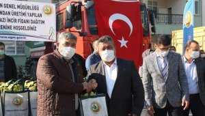 Mut'ta 13 mahalleye 15 bin beyaz incir fidanı dağıtıldı