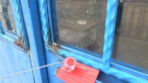 Süt kazanına girip banyo yaptı