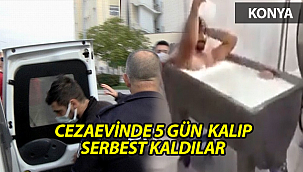 Süt kazanında banyo yapan ve görüntüyü kaydeden şahıslar serbest bırakıldı