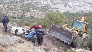 Uçuruma düşen inek kurtarıldı
