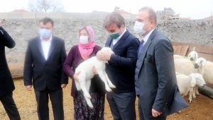 Aksaray'da küçükbaş hayvan sayısı 1,5 milyona çıkacak