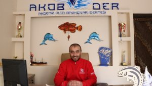 Balon balığı avı balıkçıları sevindirdi