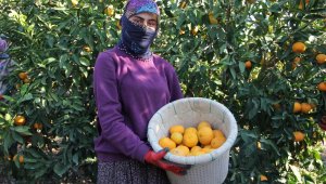 Dalında 1,5 markette 8 lira