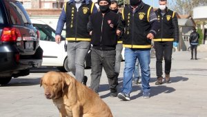 Çarpıp kapkaç yaptılar ev hapsi cezası aldılar