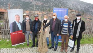 İbradı ipekböcekçiliği ile tanışıyor