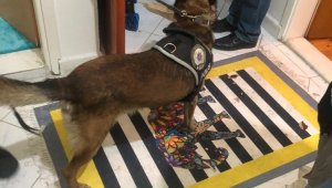 Karaman'da 300 polisin katılımıyla uyuşturucu operasyonu: 41'e yükseldi