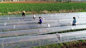Korona virüsün stresini burada atıyorlar