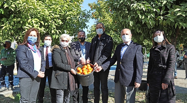 Mersin'de turunçlar salata sosu olarak ekonomiye kazandırılacak