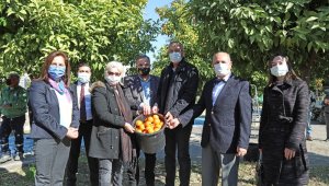 Mersin'de turunçlar salata sosu olarak ekonomiye kazandırılacak