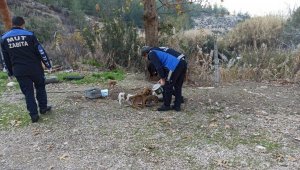 Mut'ta sokak hayvanları unutulmadı