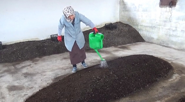 2 üniversite mezunu kadın, organik solucan gübresi üretiyor