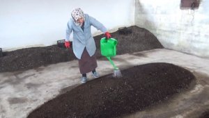 2 üniversite mezunu kadın, organik solucan gübresi üretiyor