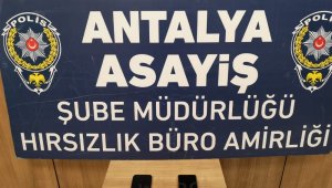 Adana'dan Antalya'ya gelen balkon fareleri yakalandı