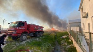 Antalya'da korkutan sazlık yangını