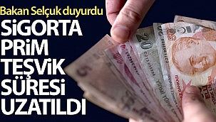 Bakan Selçuk: '51 il ve 2 ilçede sigorta prim teşviki süresi uzatıldı'