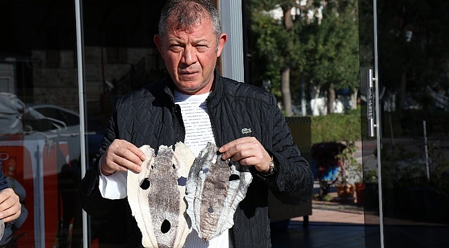 Balıkçıları canından bezdiren balon balığı derisi ayakkabı, cüzdan, çanta olacak