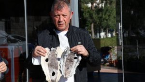 Balıkçıları canından bezdiren balon balığı derisi ayakkabı, cüzdan, çanta olacak